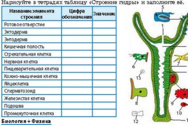 Даркнет официальный сайт вход