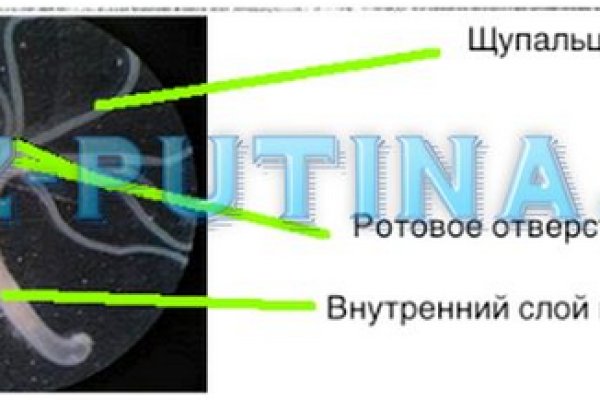 Кракен маркетплейс реклама текст