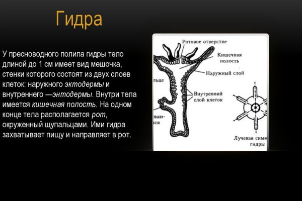 Кракен сайт ссылка тор браузере