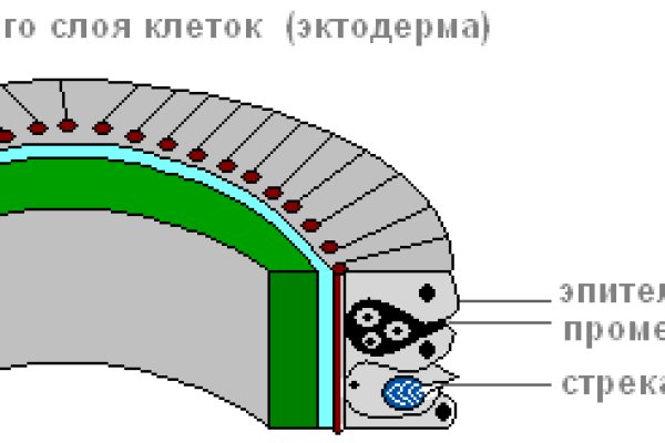 Как восстановить кракен