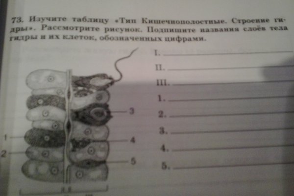 Найти ссылку на кракен